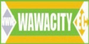 wawacity site de telechargement direct premier du classemnt
