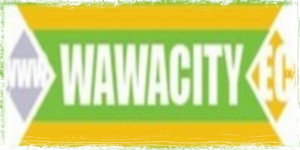 wawacity wawacity-ddl-streaming